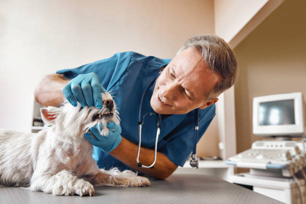 Best After-Hours Emergency Dentist in Elizabeth City, NC